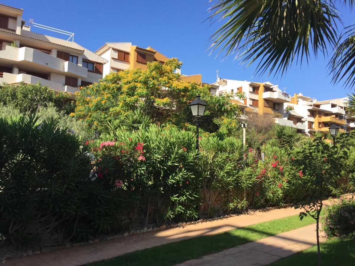 דירות אליקאנטה Torrevieja 200M From Sea Punta Prima מראה חיצוני תמונה