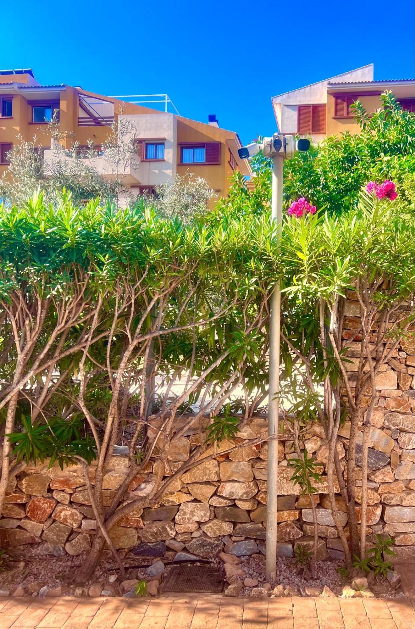 דירות אליקאנטה Torrevieja 200M From Sea Punta Prima מראה חיצוני תמונה